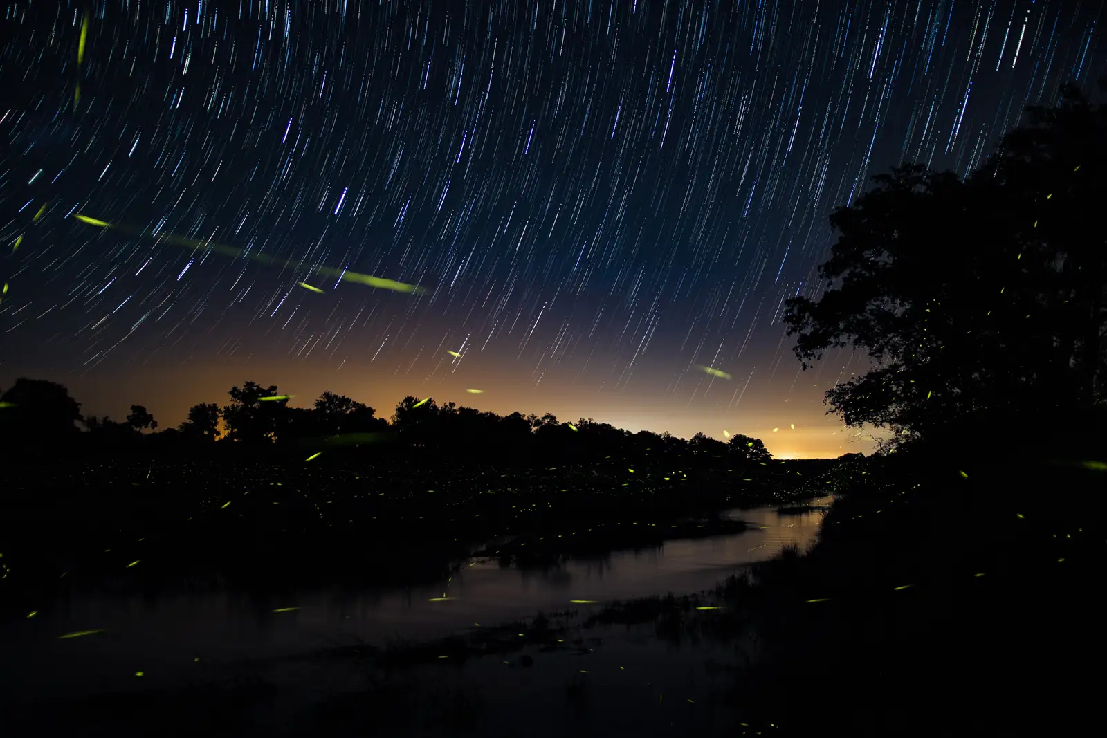 Nachthimmel über einem Fluss: Bei langer Belichtung sind die Sterne zu feinen hellen Strichen geworden. Am Horizont eine Baumreihe als Silhouette, darüber ein orangefarbener Lichtschein, im Vordergrund grüne Leuchtspuren von Glühwürmchen.