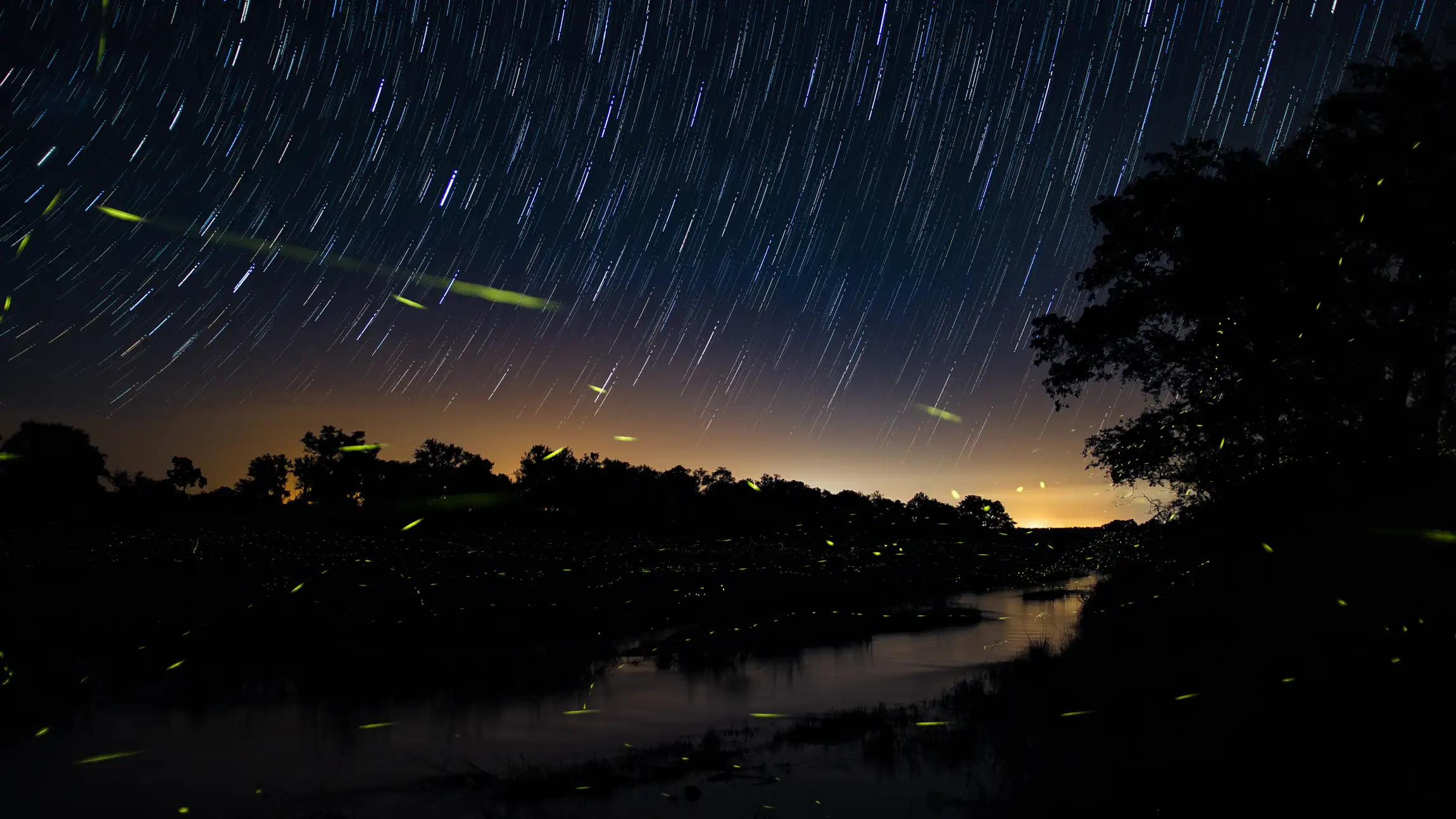 Nachthimmel über einem Fluss: Bei langer Belichtung sind die Sterne zu feinen hellen Strichen geworden. Am Horizont eine Baumreihe als Silhouette, darüber ein orangefarbener Lichtschein, im Vordergrund grüne Leuchtspuren von Glühwürmchen.